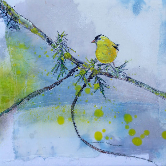 Goldfinch 1